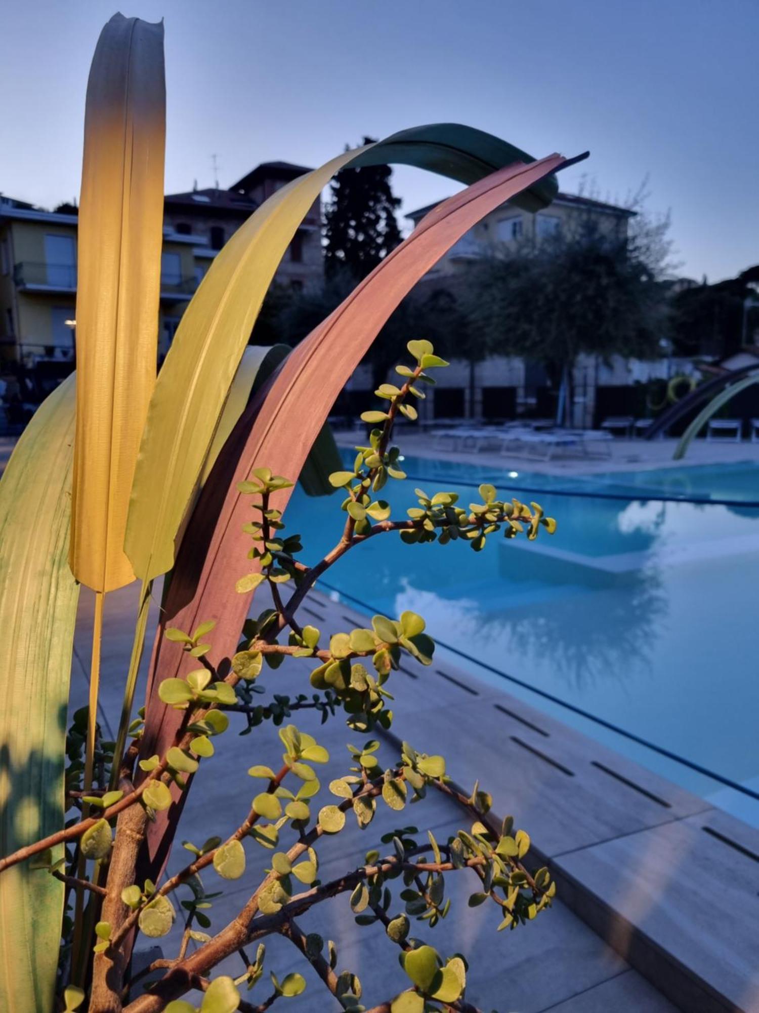 Igea 3* Diano Marina