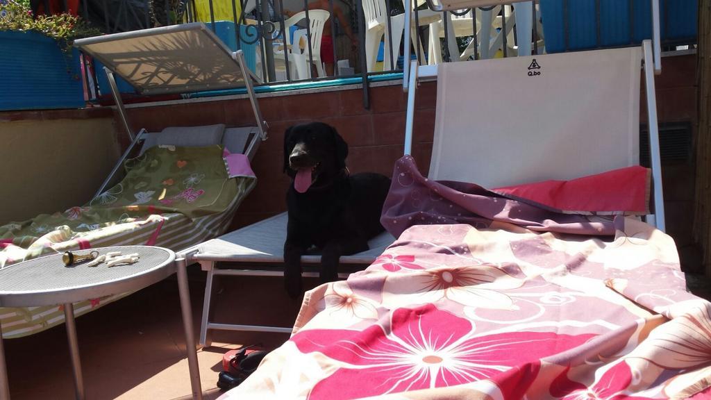 Hotel Igea